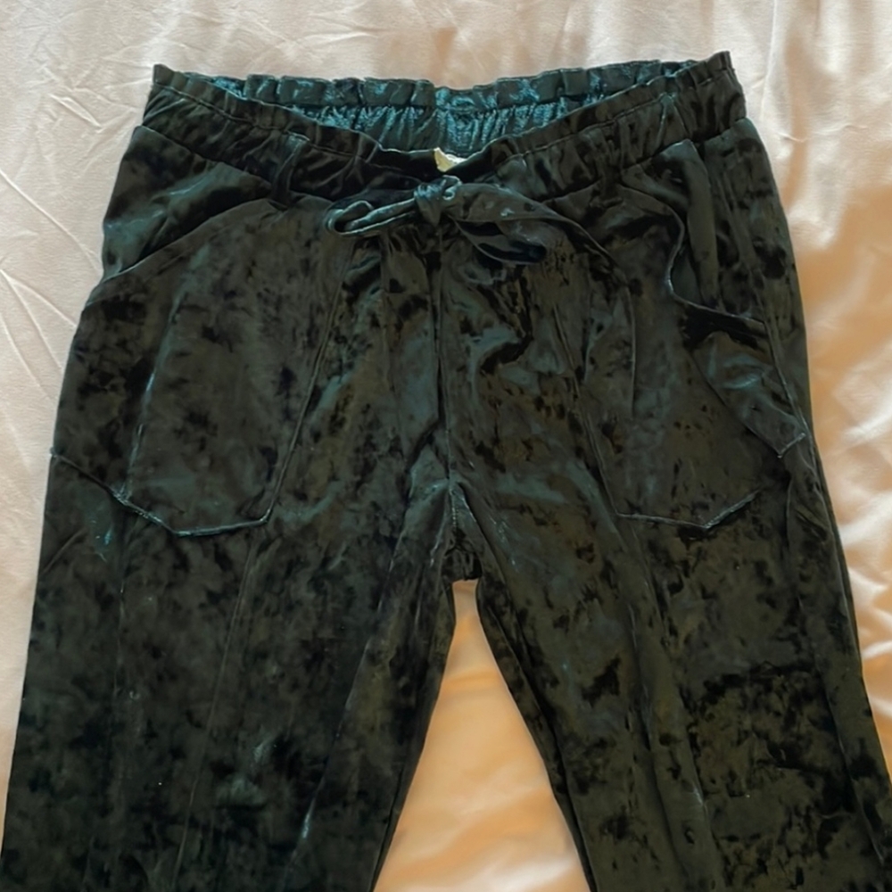 Jolt Velvet Pants in Emerald, Medium